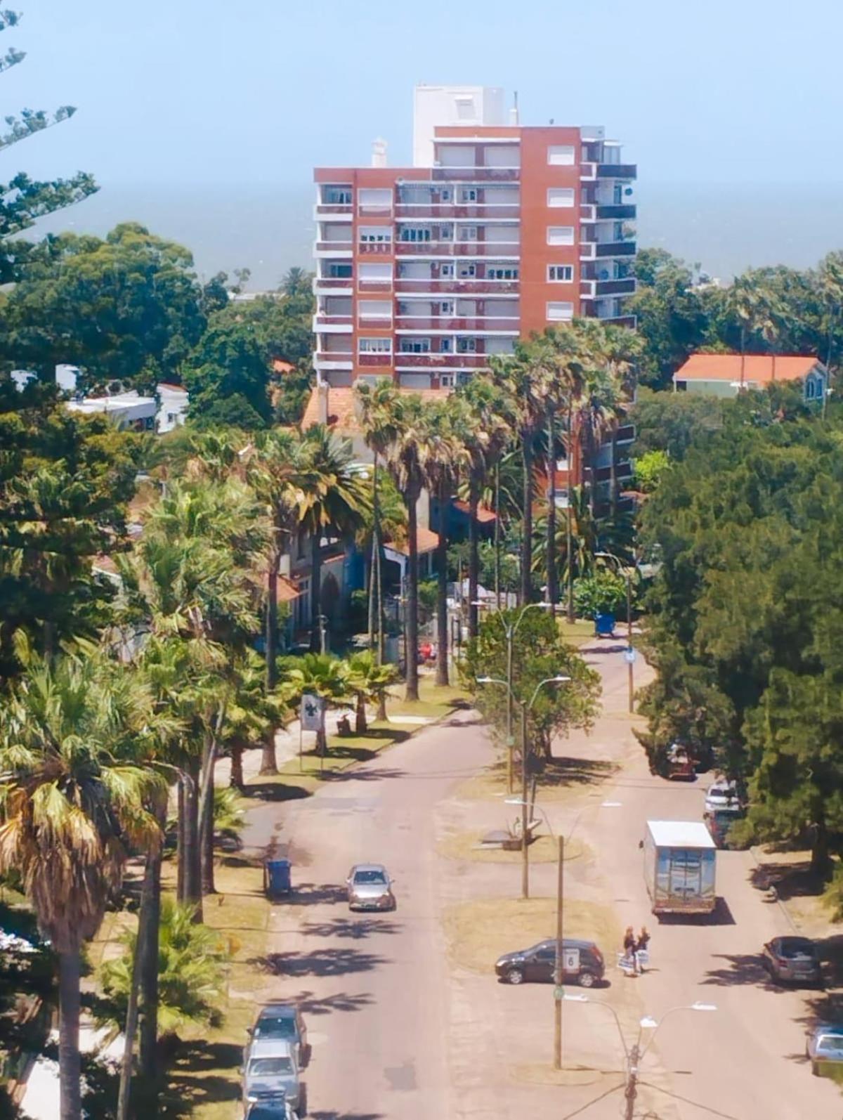 Apartmán Funcional Y Bien Ubicado Atlántida Exteriér fotografie